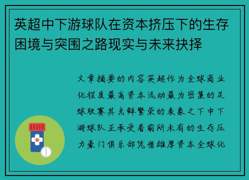 英超中下游球队在资本挤压下的生存困境与突围之路现实与未来抉择